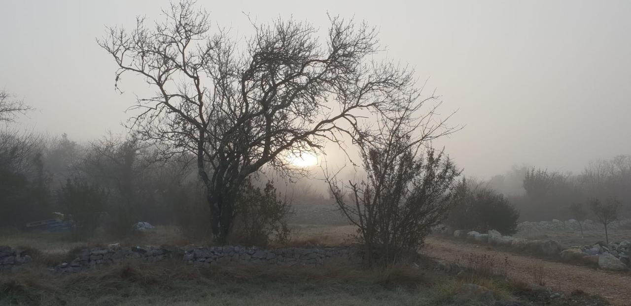 Gites Du Combeau Saint-Maurice-dʼIbie Exteriör bild
